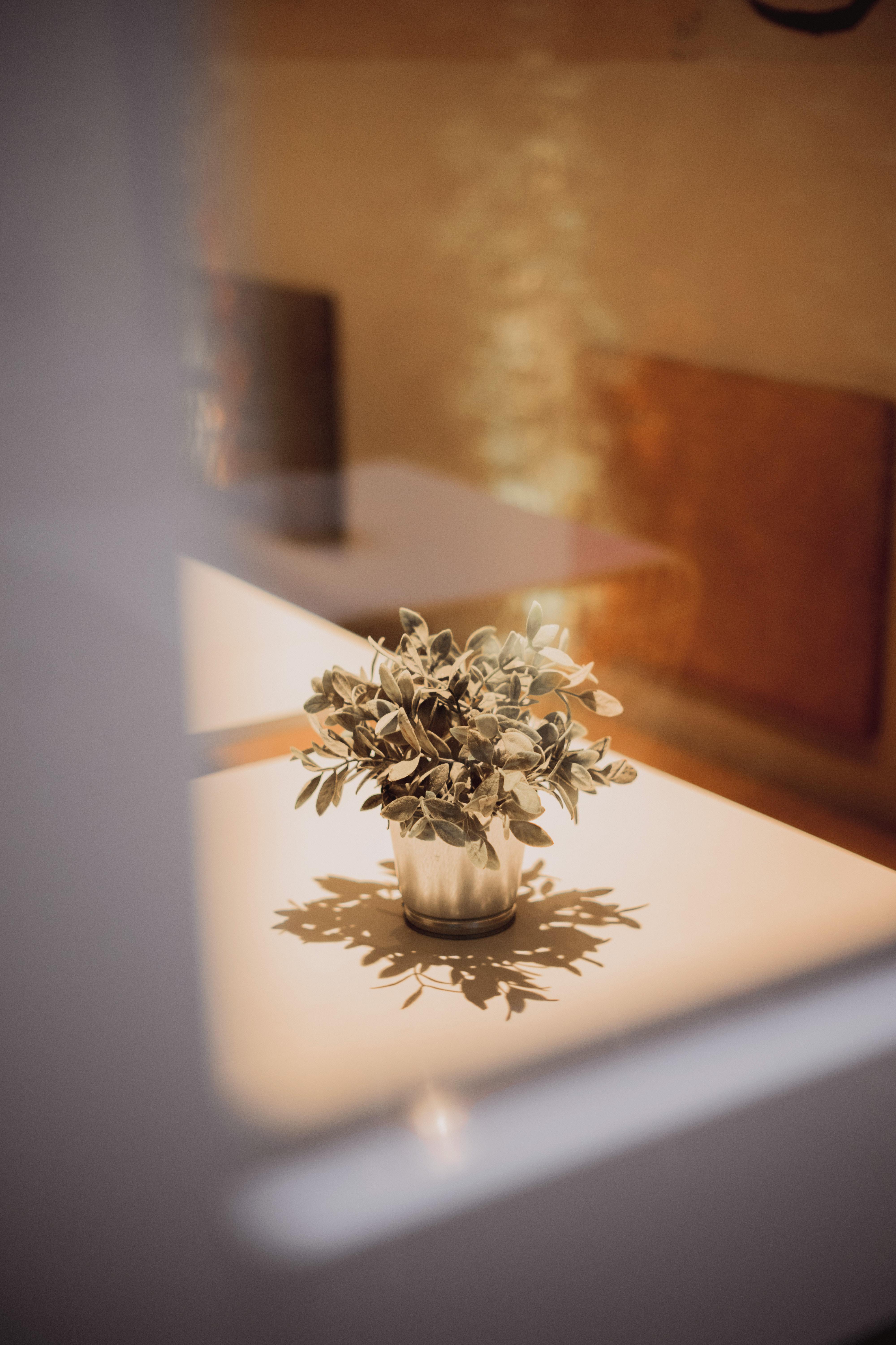 Room Select Sol مدريد المظهر الخارجي الصورة